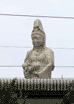 啧(x10)(GIF)(JPEG 29KB)